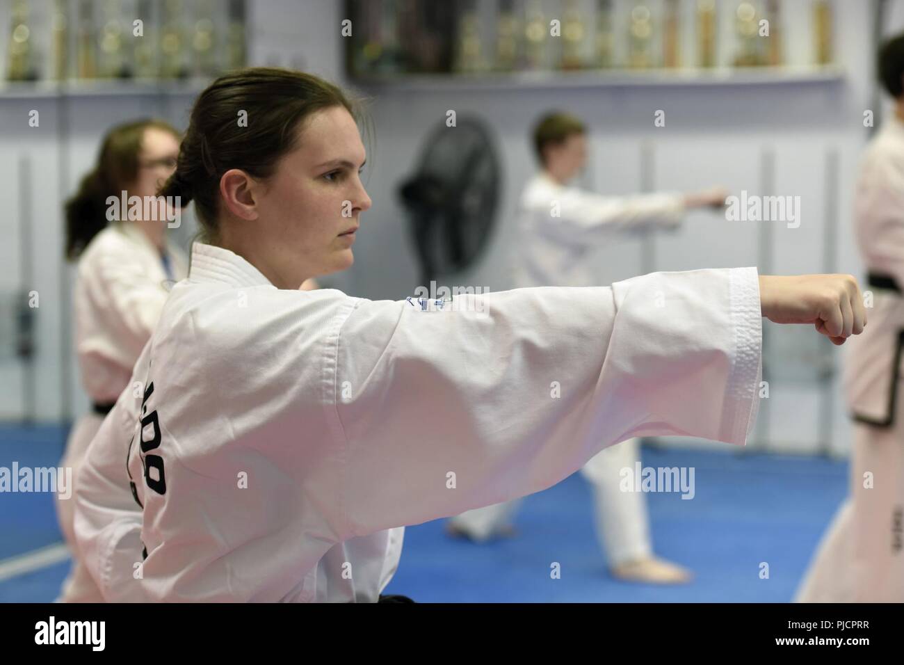 1st Class Lydia Delmonico, an information technology specialist assigned to the 180th Fighter Wing, Ohio Air National Guard, trains for the International Taekwondo Federation World Championships at Great Lakes Global Taekwondo in Sylvania, Ohio, July 11,2018. The ITF World Championships take place from July 31through Aug. 5 in Buenos Aires, Argentina. Stock Photo