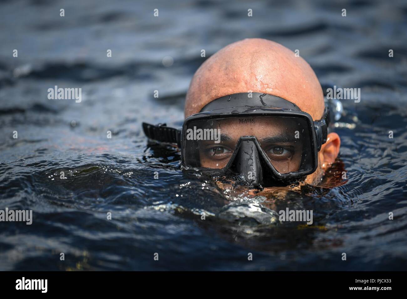 U.S. Navy Sea, Air, and Land Team Members conduct military dive ...