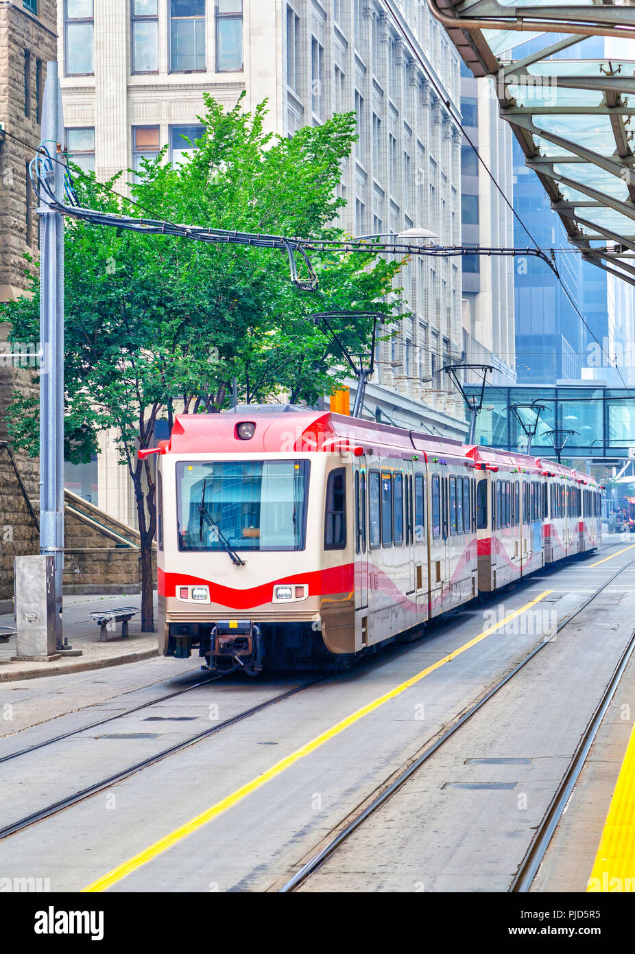 A modern Calgary transit train traveling on the streets of downtown