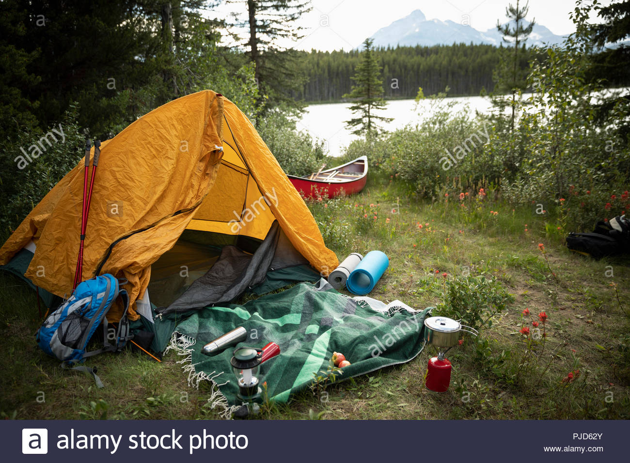 Tent and camping equipment at lakeside forest campsite, Alberta, Canada