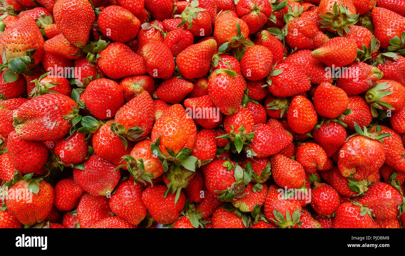 Strawberry for sale at rural market in Yangon, Myanmar Stock Photo Alamy