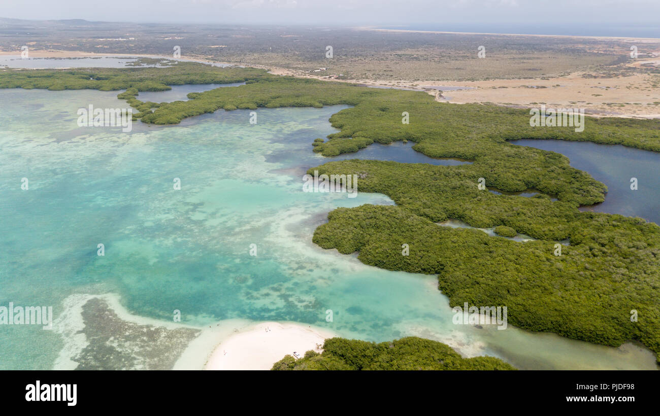 Sea Beach Coast Bonaire Island Caribbean Sea Aerial Drone Top View sea-beach-coast-bonaire-island-caribbean-sea-aerial-drone-top-view