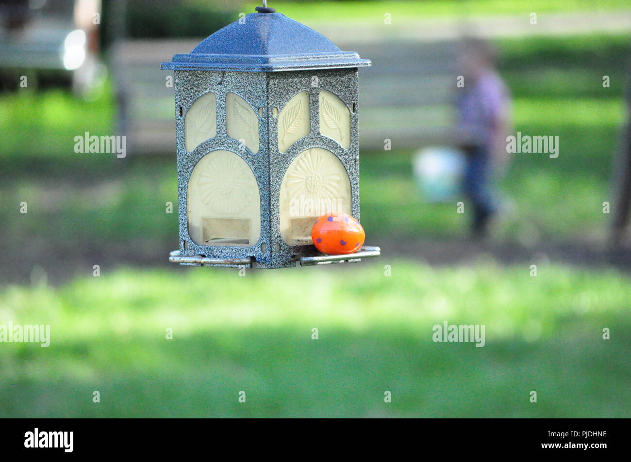 Easter Egg In Bird Feeder During Easter Egg Hunt Stock Photo