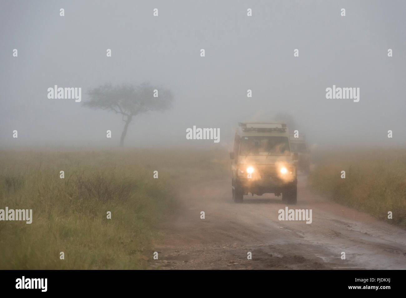 A safari vehicle driving in a rainstorm, Seronera, Serengeti National Park, Tanzania Stock Photo