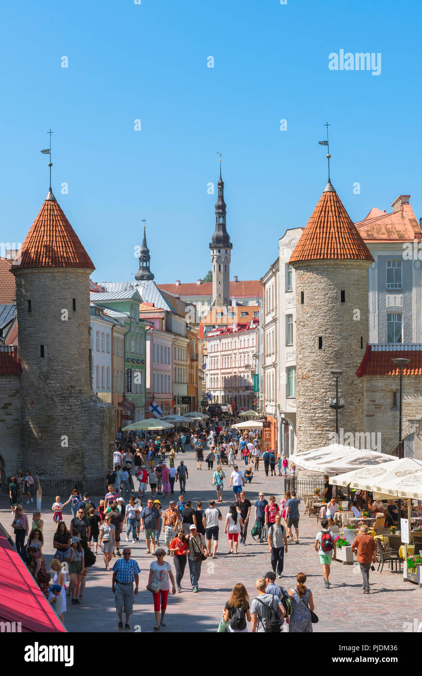 Tallinn summer city, scenic view of the Viru Gate in Tallinn - the eastern entrance to the central medieval Old Town quarter of the city, Estonia. Stock Photo