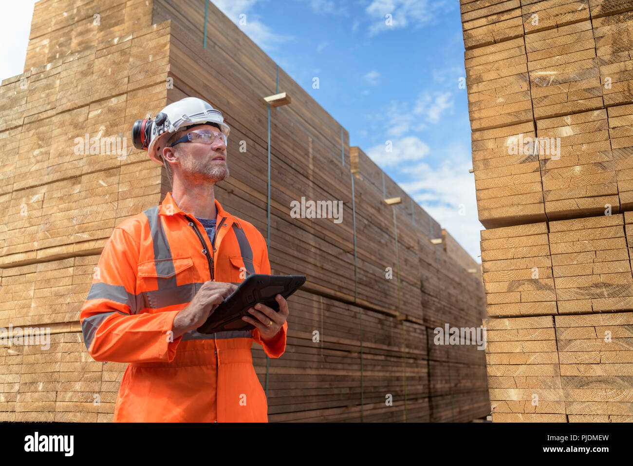Worker with stacks of timber in storage at port Stock Photo
