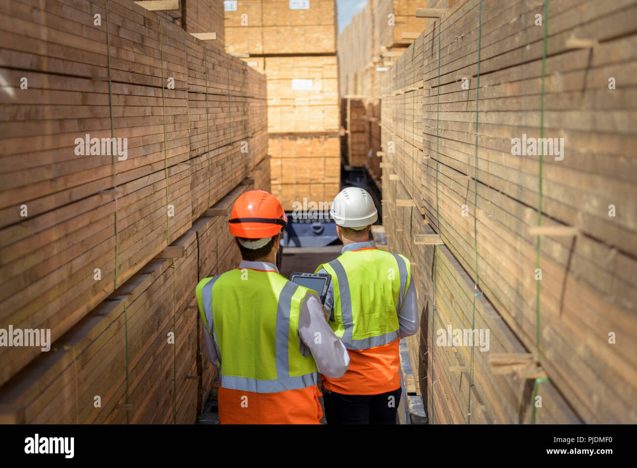 Workers among stacks of timber in storage at port Stock Photo