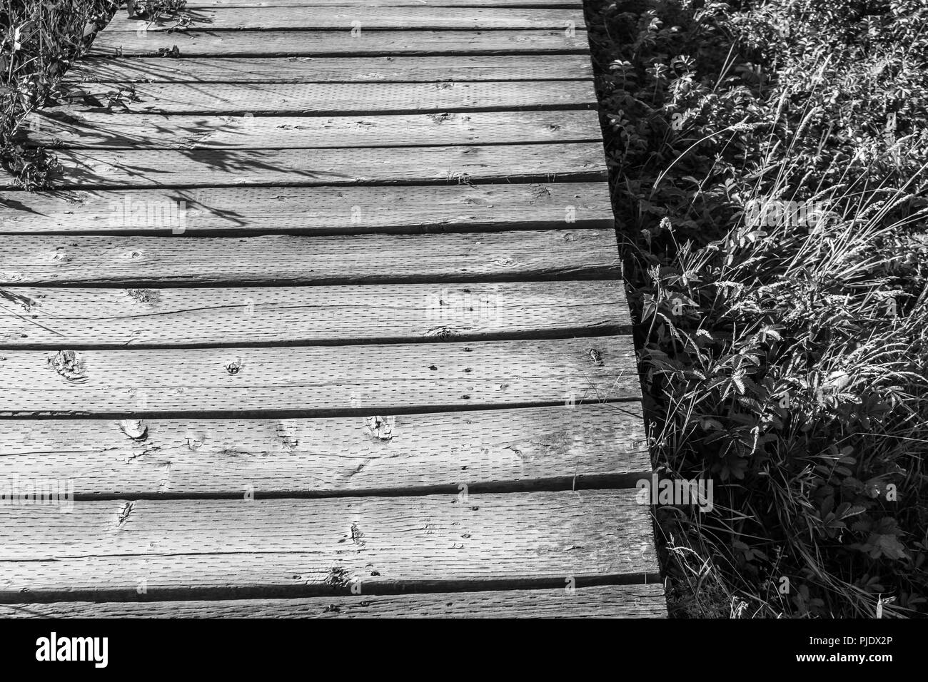 A closeup shot of planks on a raised walkway. Stock Photo