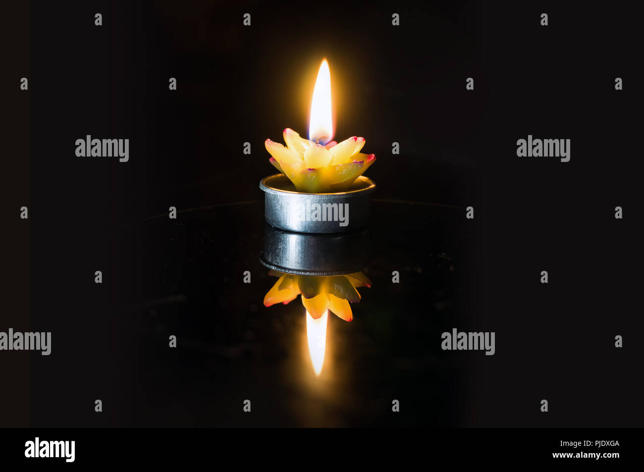 candle burning bright in the dark. candle in the shape of a cactus