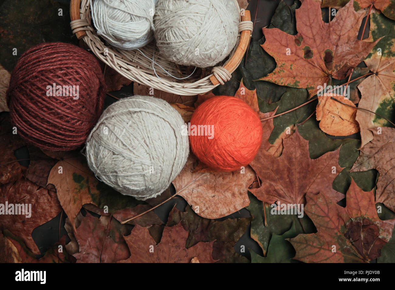 Knitting threads in a park on leaves Stock Photo