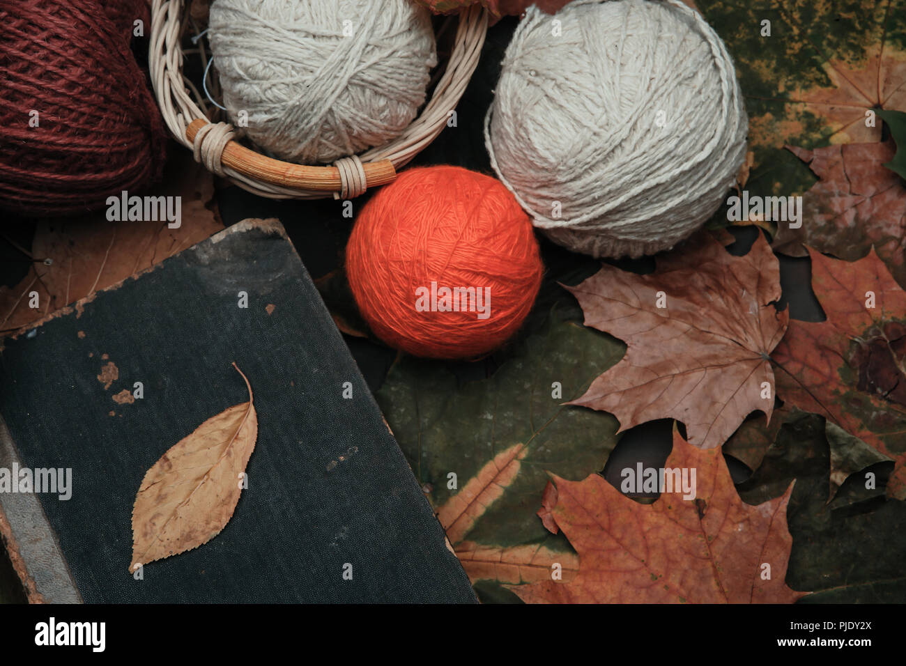 Knitting threads in a park on leaves Stock Photo