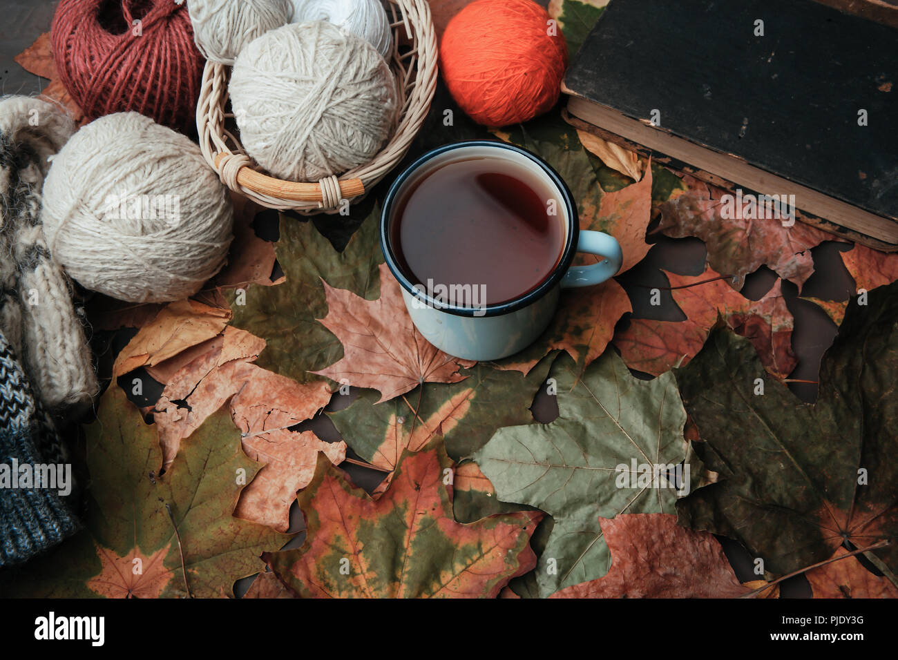 Knitting threads in a park on leaves Stock Photo