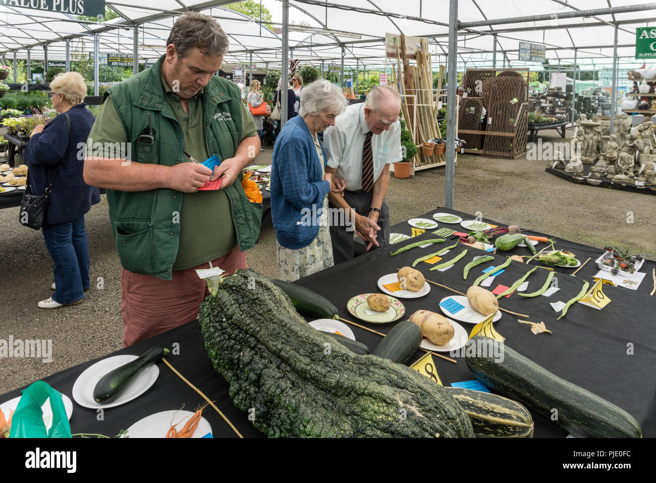 Judge awarding the best marrow prize, senior couple looking at other exhibits, at a horticultural show at Milton Ernest, Bedfordshire, UK Stock Photo