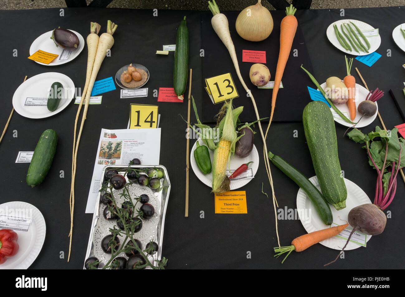 Table showing the winning entries in the vegetable classes at a horticultural show at Milton Ernest, Bedfordshire, UK Stock Photo