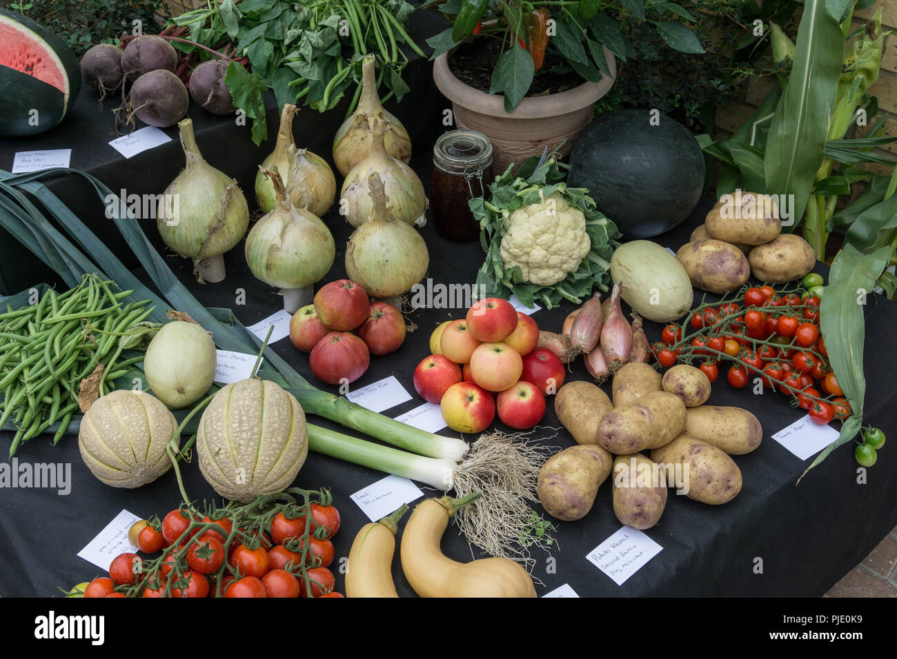 Colourful display of fruit and vegetables at a horticultural show at Milton Ernest, Bedfordshire, UK Stock Photo