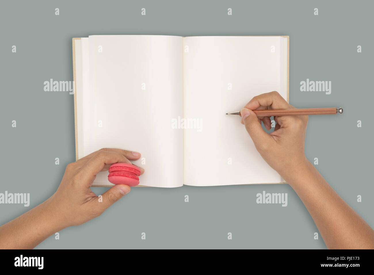 Top view- two hands hold a empty book spread. Stock Photo
