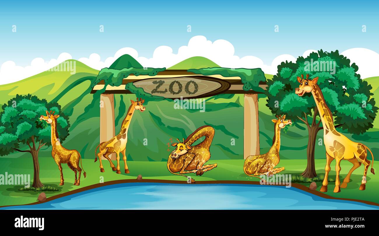 Giraffe at the zoo illustration Stock Vector Image & Art - Alamy