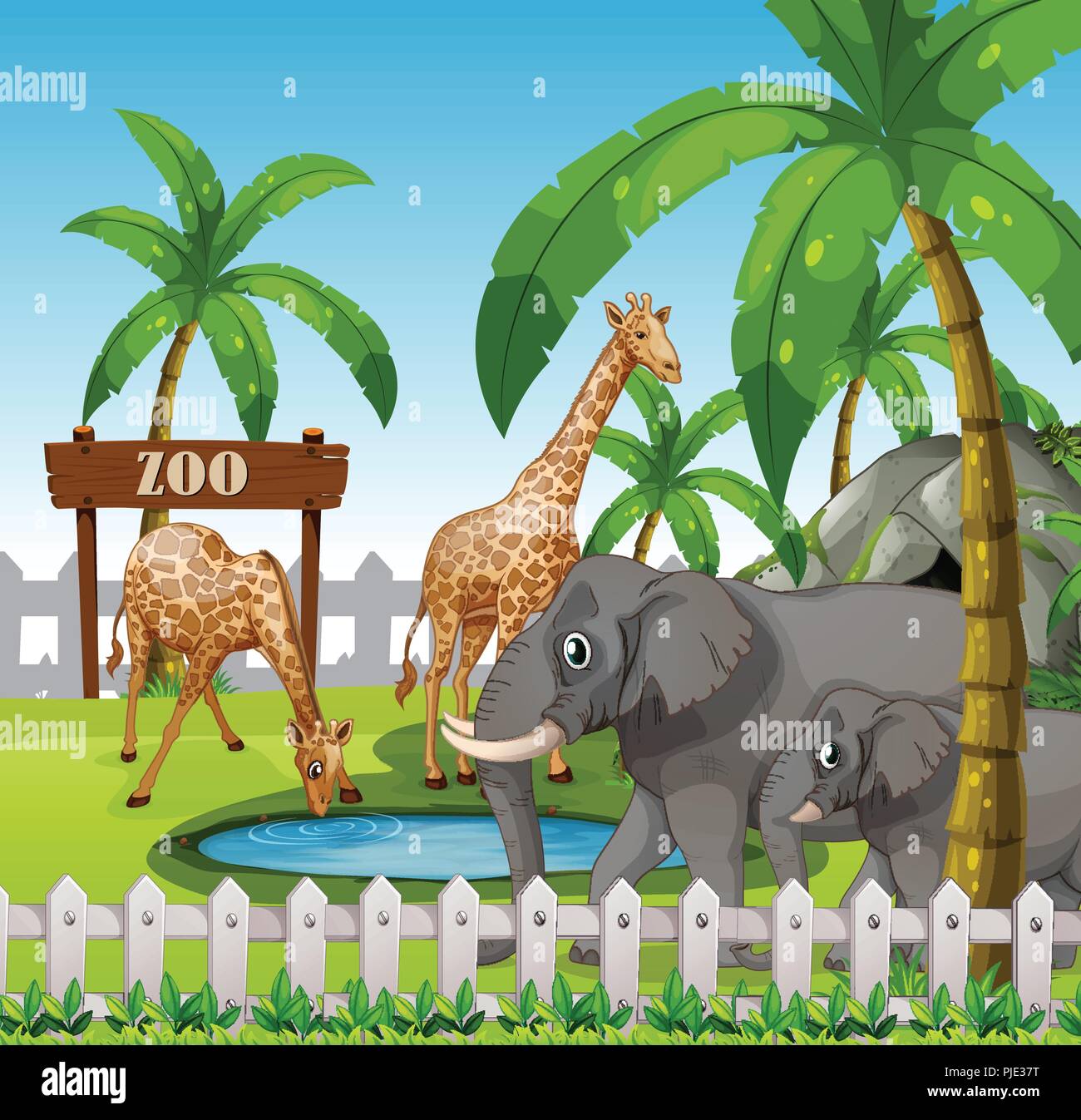Giraffe and elephant at the zoo illustration Stock Vector Image \u0026 Art -  Alamy, image size:1300x1347