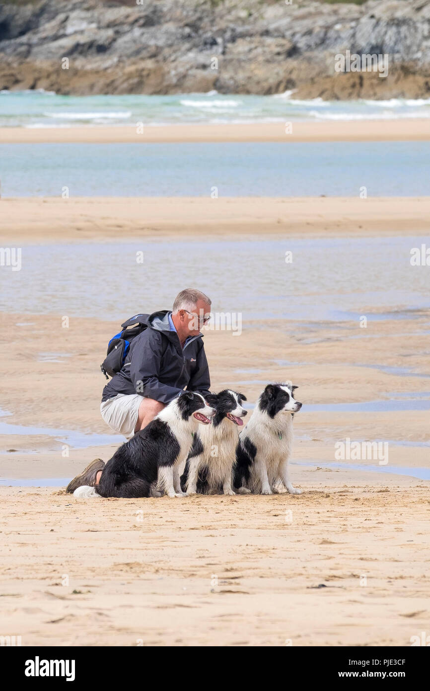 A man kneeling with his three Border Collie dogs on Crantock Beach in ...