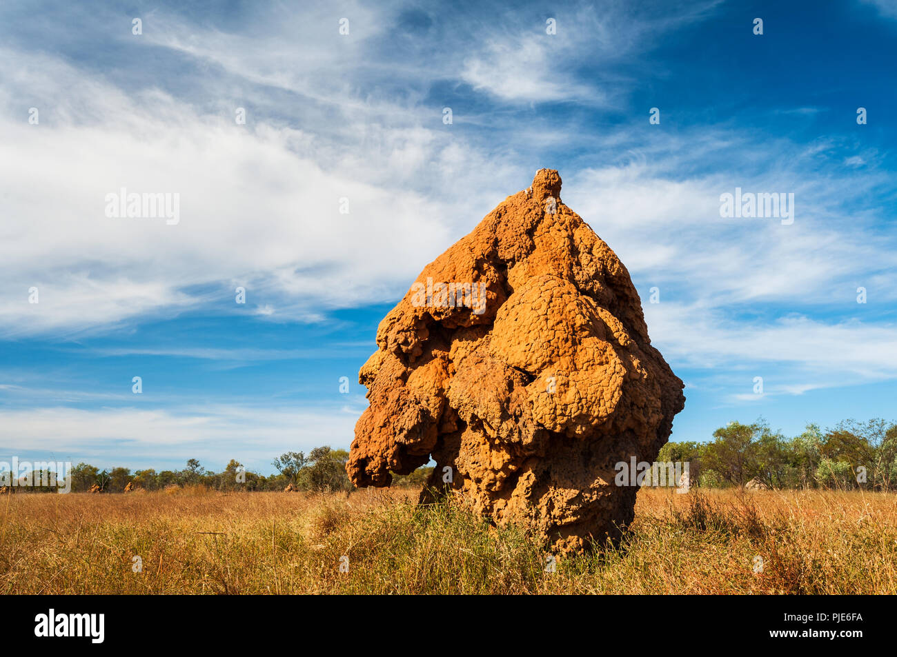Big Termite Mound right beside the Gibb River Road. Stock Photo