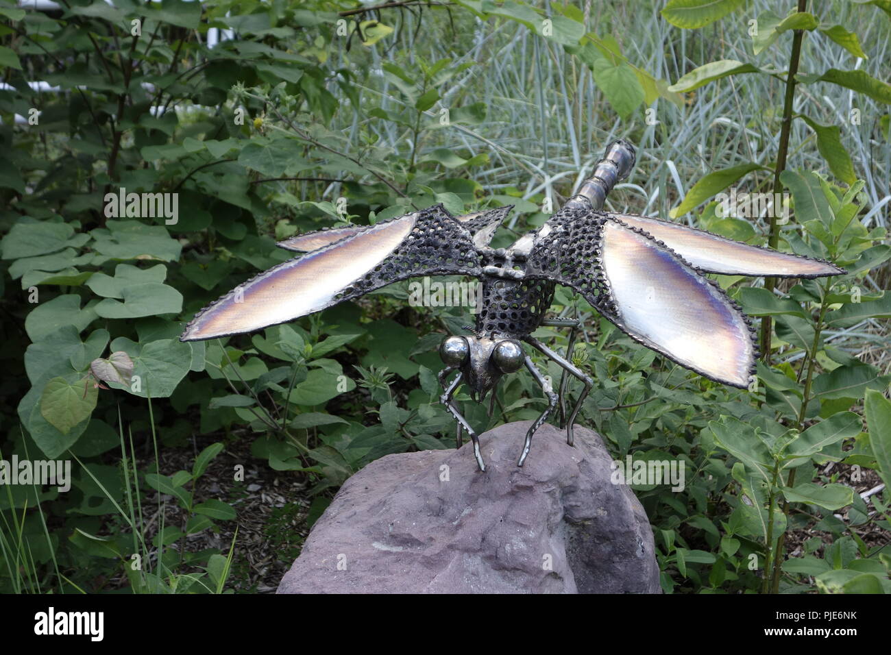 Dragonfly Metal Sculpture Durham life and science museum Stock Photo