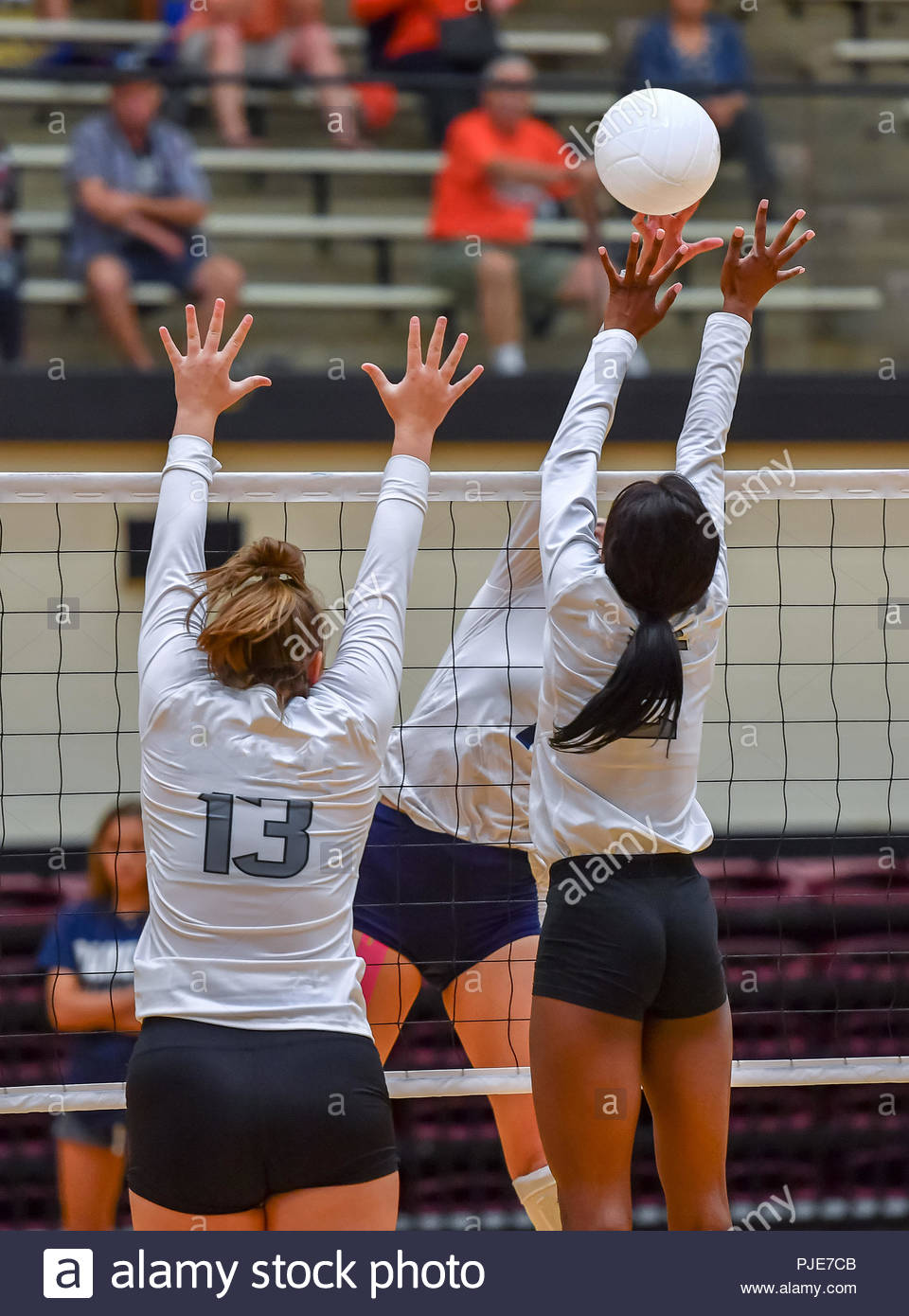 ladies volleyball match