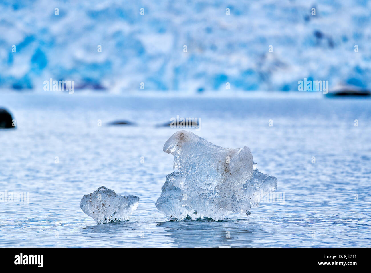 kleine Eisstücke treiben vor Gletscher, Ny Alesund, Spitzbergen, Europa |small pieces of ice flooting in front of glacier, Ny Alesund, Svalbard or Spi Stock Photo