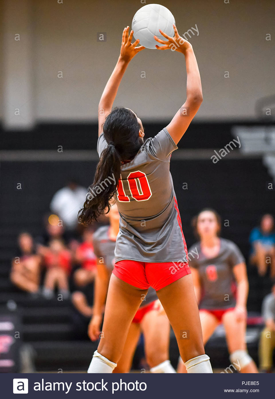 volleyball player girl