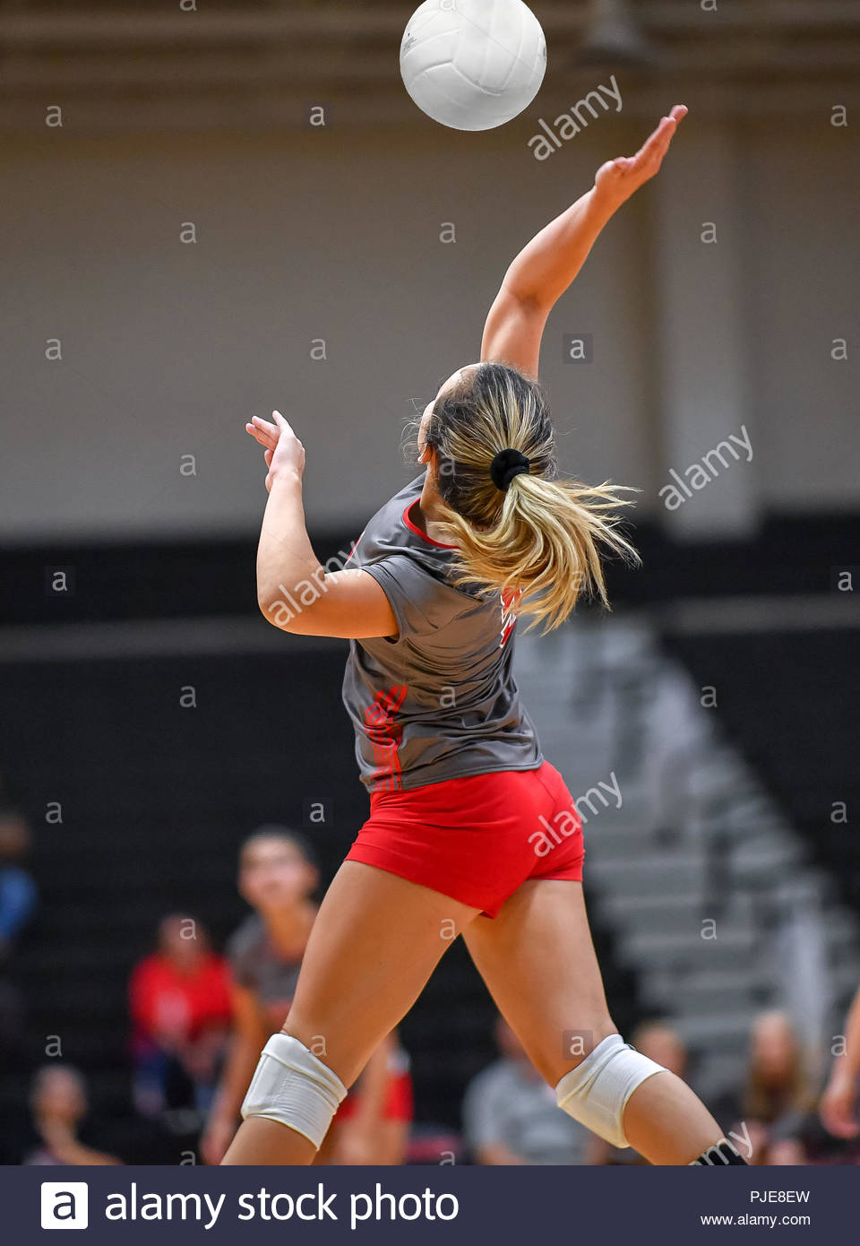 volleyball player girl