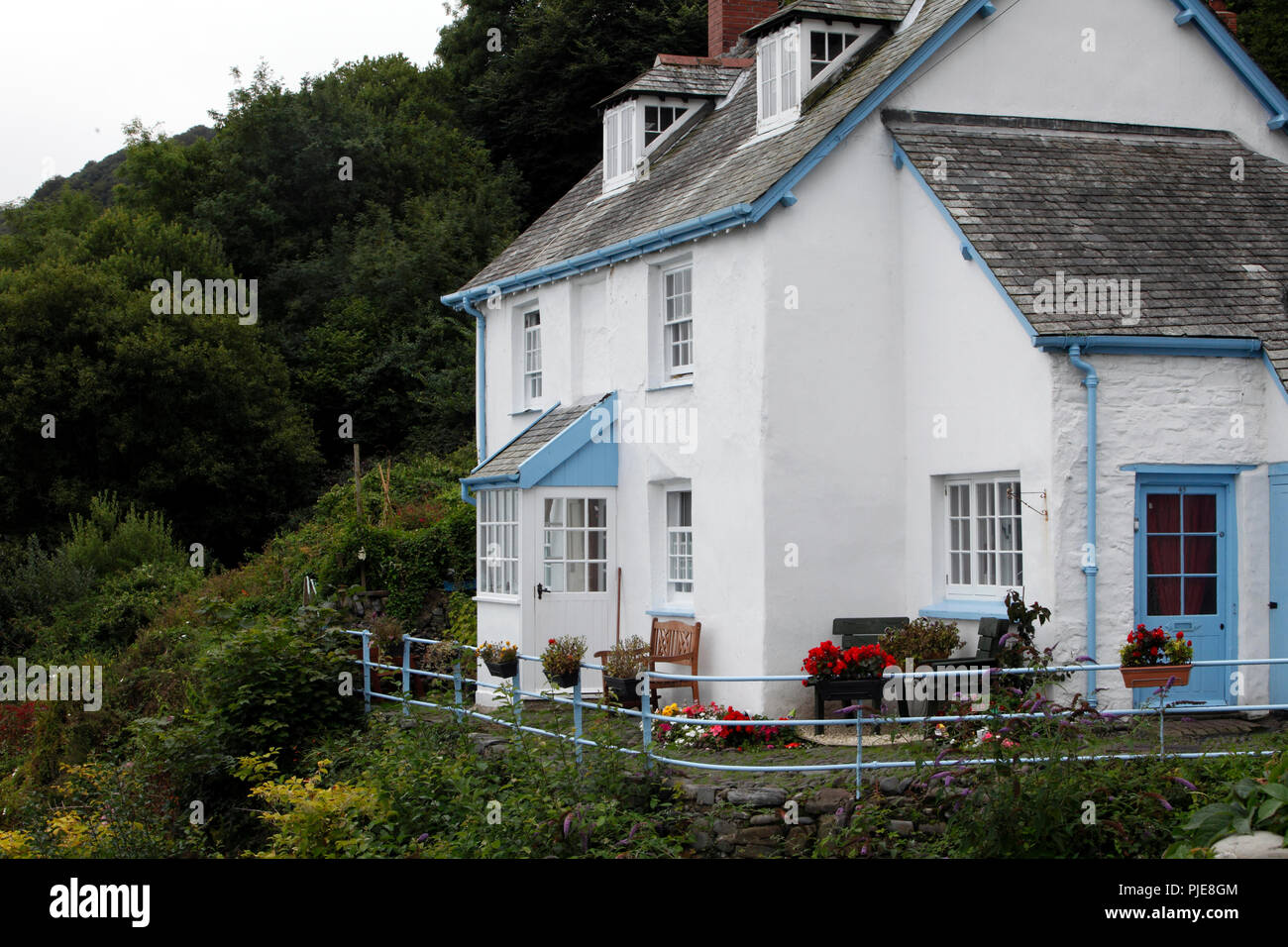 House and architecture in Clovelly, North Devon Stock Photo Alamy