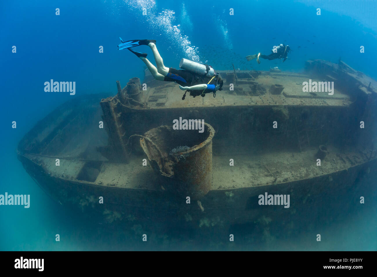 Scuba Divers swimming around the Fang Ming Wreck, La Paz, Sea of Cortez Stock Photo