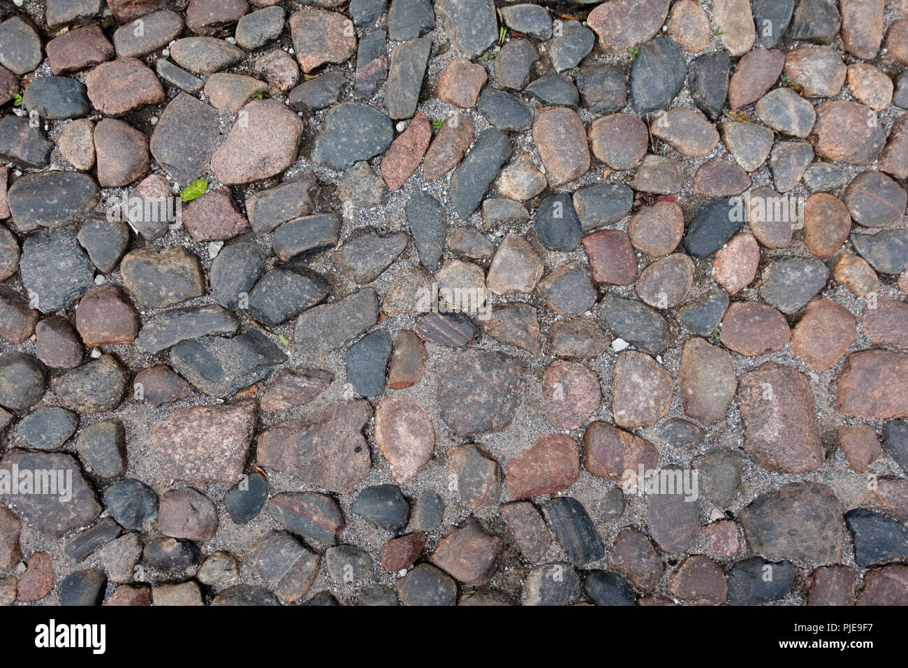 Old cobblestone pavement in hi-res stock photography and images - Alamy
