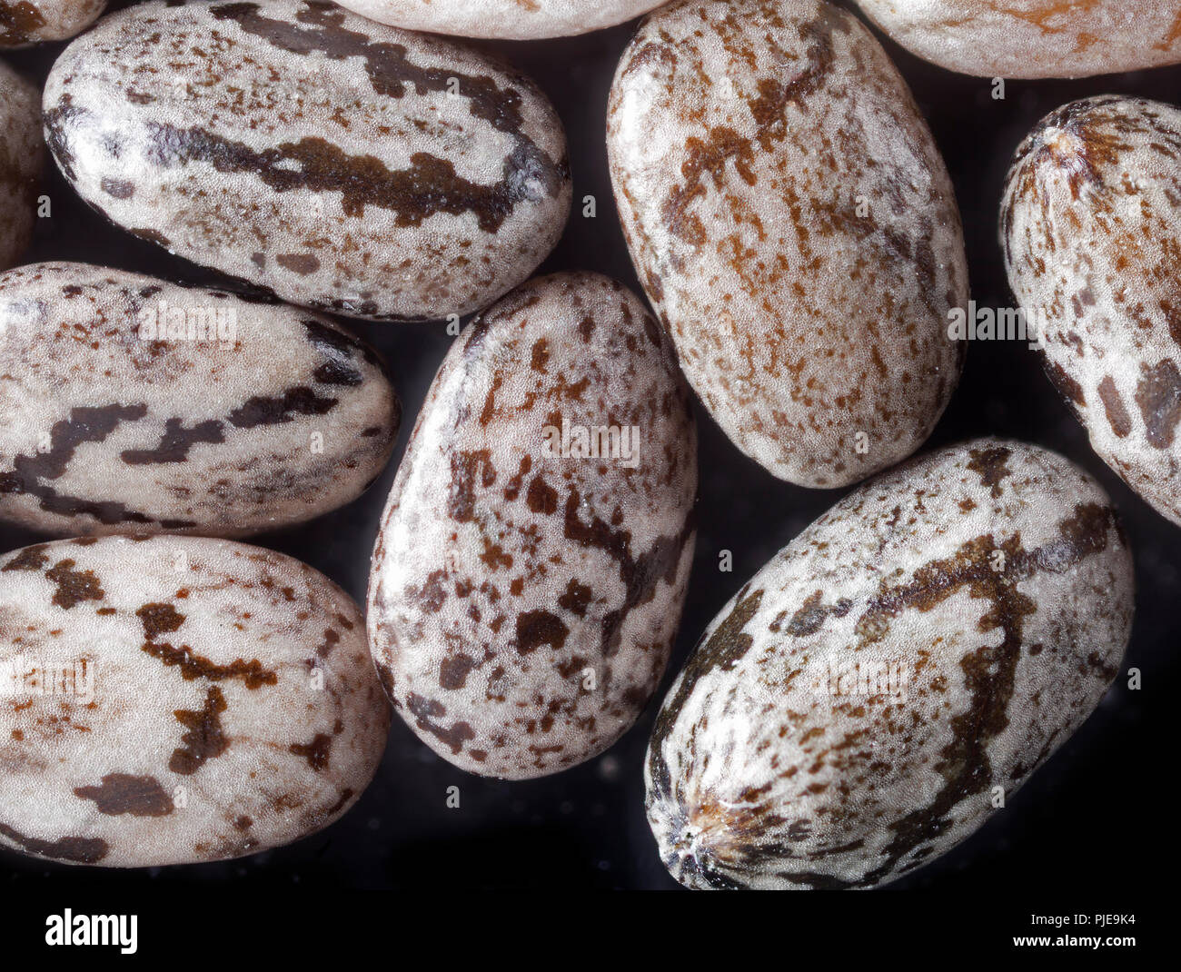 Chia seeds, Salvia hispanica, high macro photo showing patterning Stock Photo