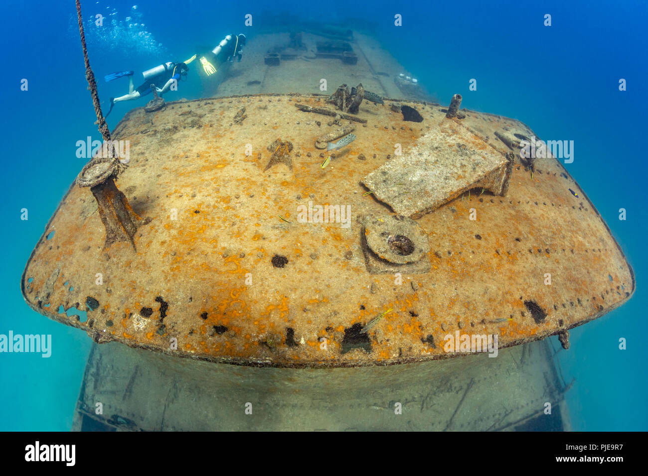 Scuba Divers swimming behind the top of the Fang Ming Wreck, La Paz, Sea of Cortez Stock Photo