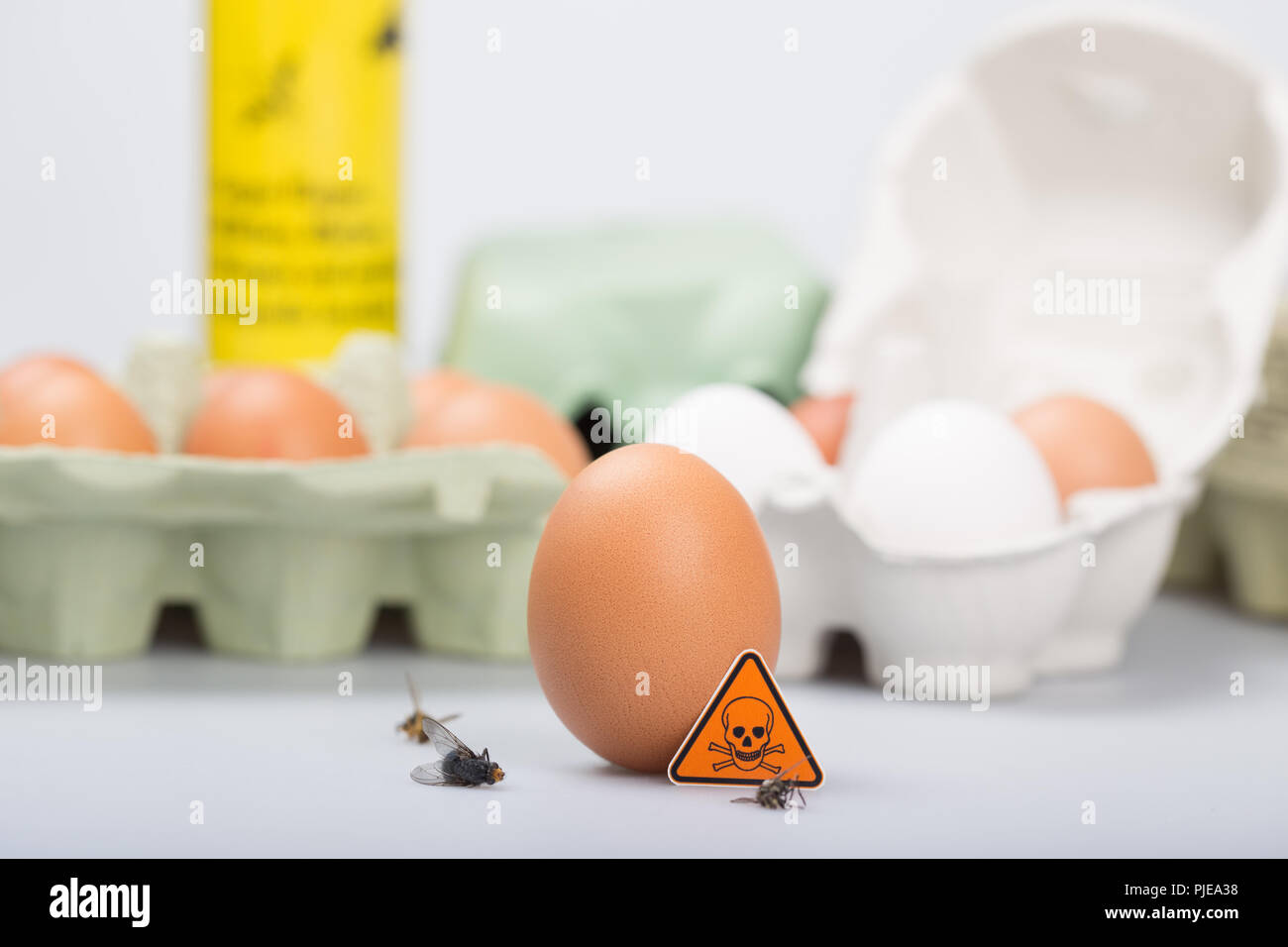 Fipronil belastete Eier Stock Photo
