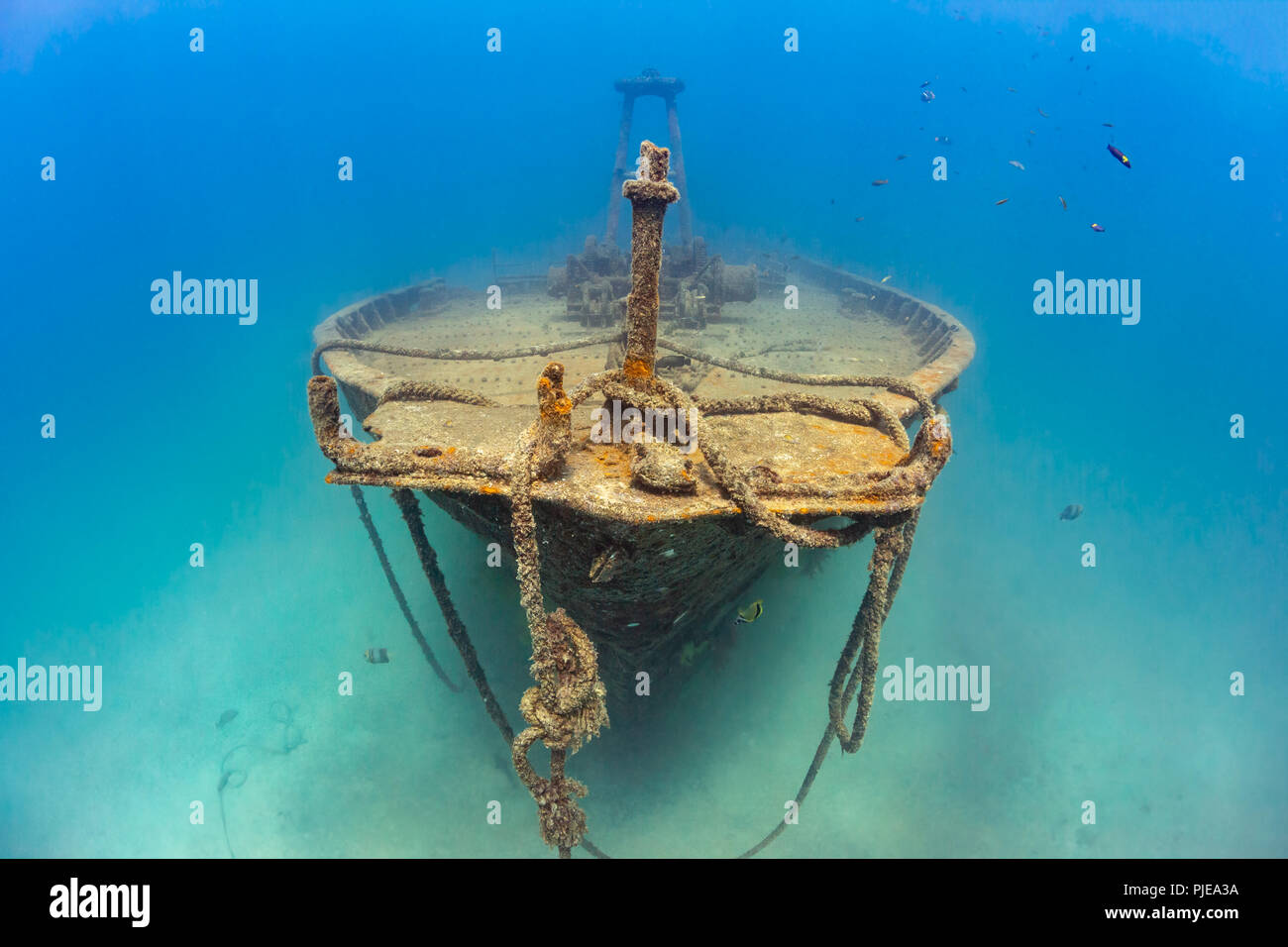 The front of the Fang Ming Wreck, La Paz, Sea of Cortez Stock Photo