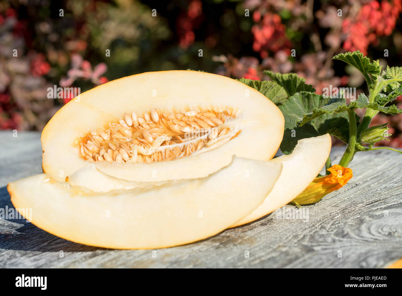 Sliced melon on wooden table outdoors Stock Photo