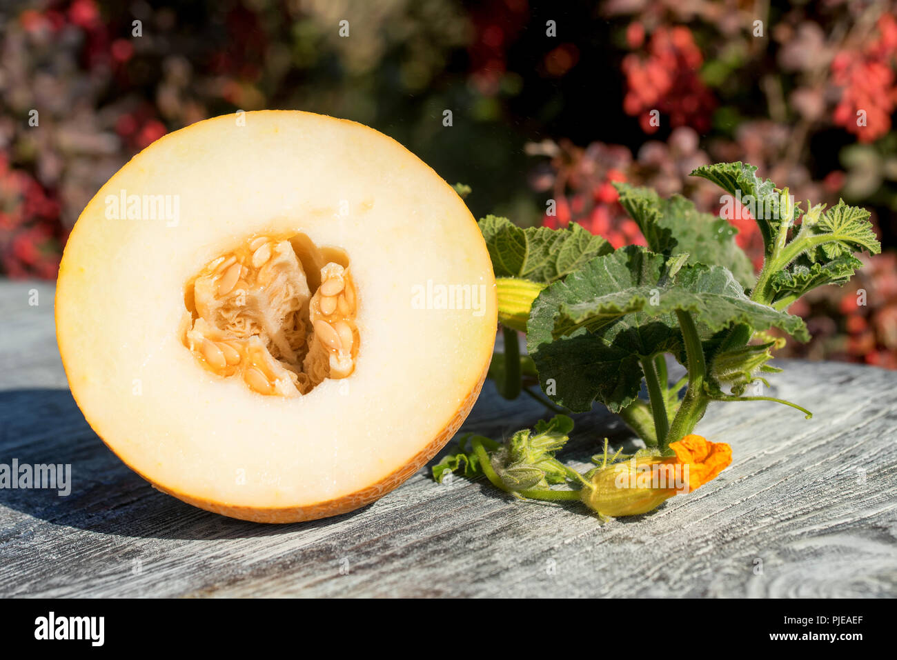 Half of melon on wooden table outdoors Stock Photo