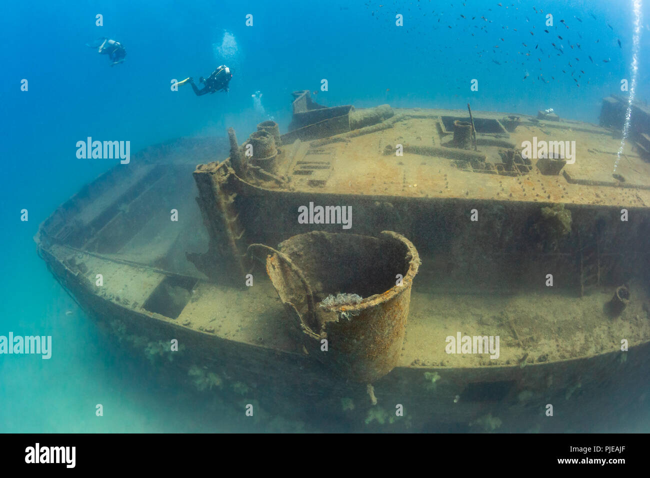Scuba Divers swimming around the Fang Ming Wreck, La Paz, Sea of Cortez Stock Photo