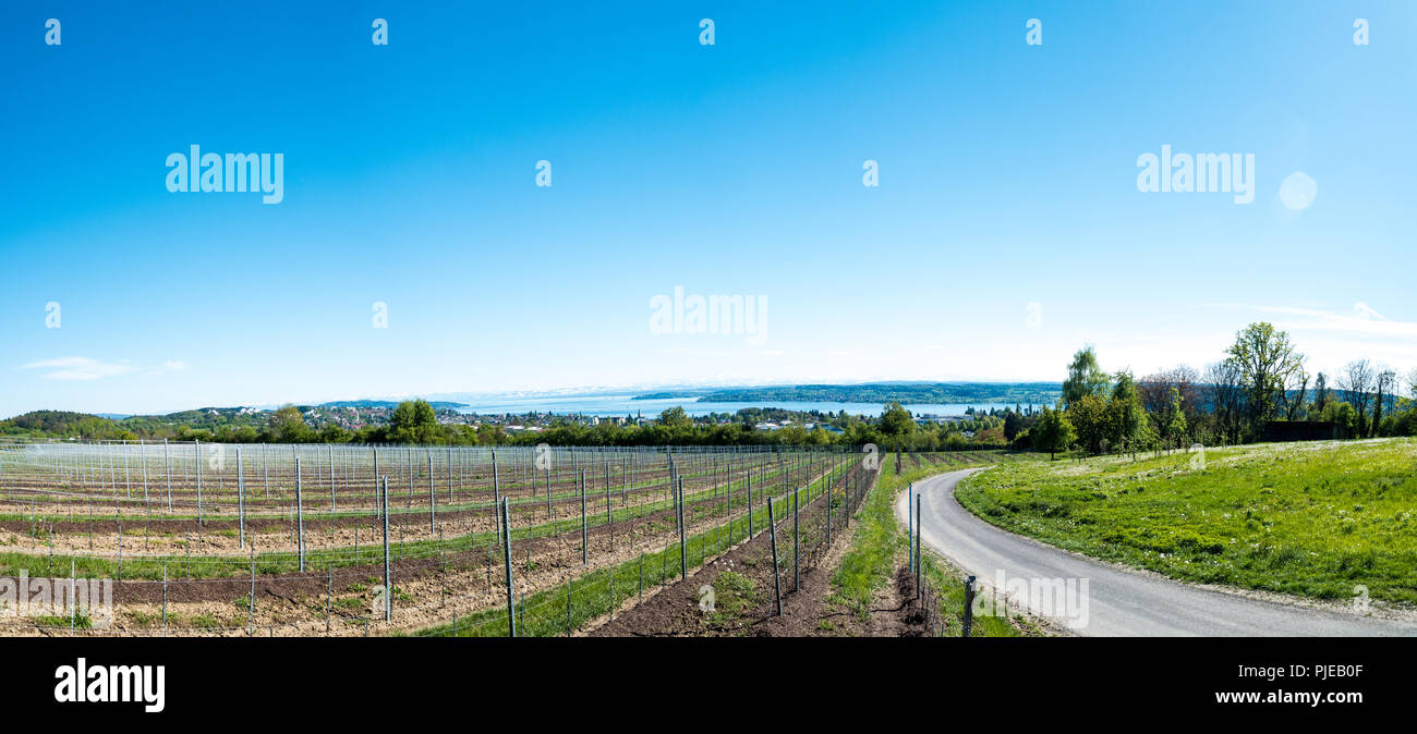 Panoramic view of lake of Lake Constance with Swiss Alps in background Stock Photo