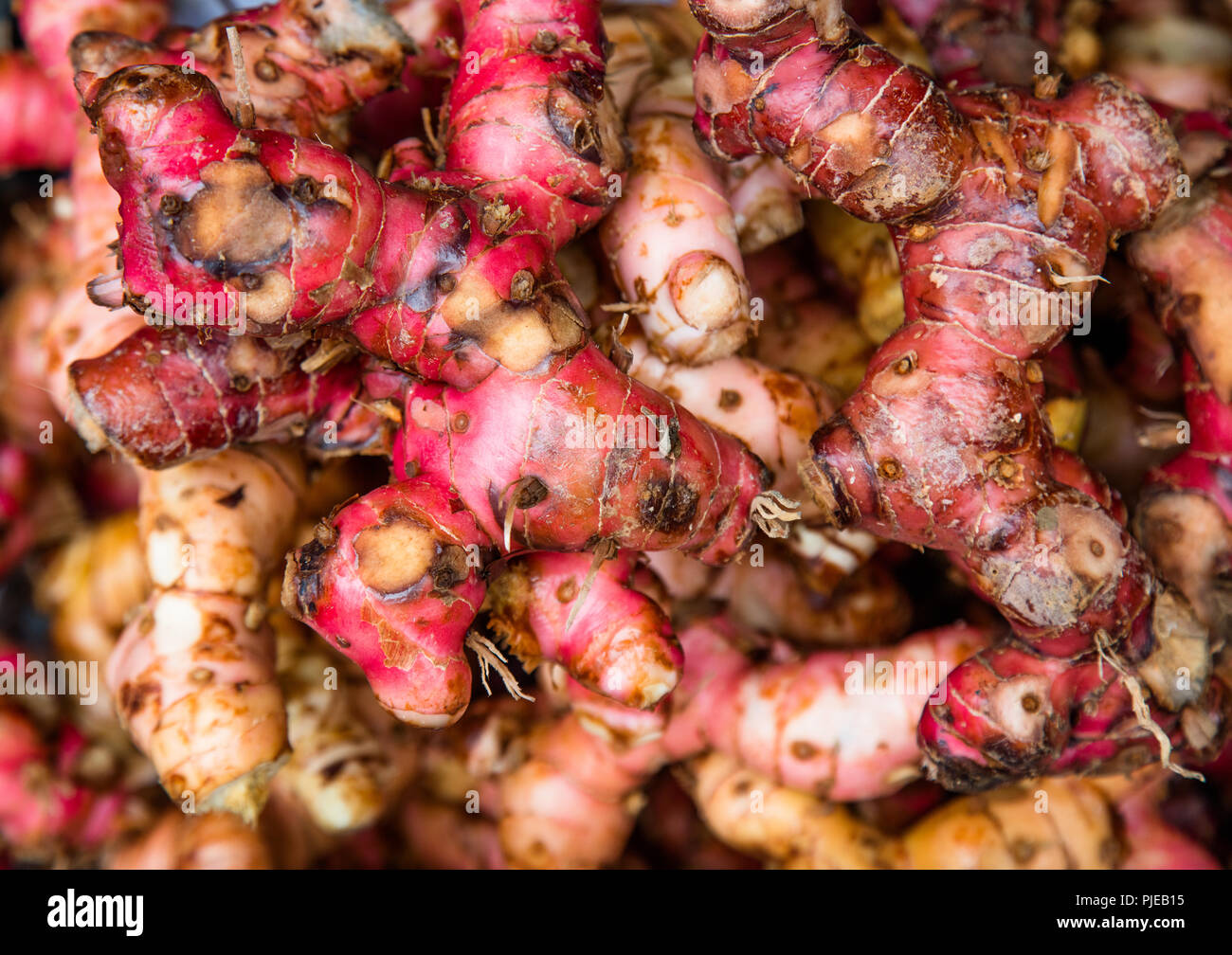 Fresh Ginger At The Market In Hanoi Vietnam Stock Photo Alamy Fresh Ginger At The Market In Hanoi Vietnam Stock Photo Alamy