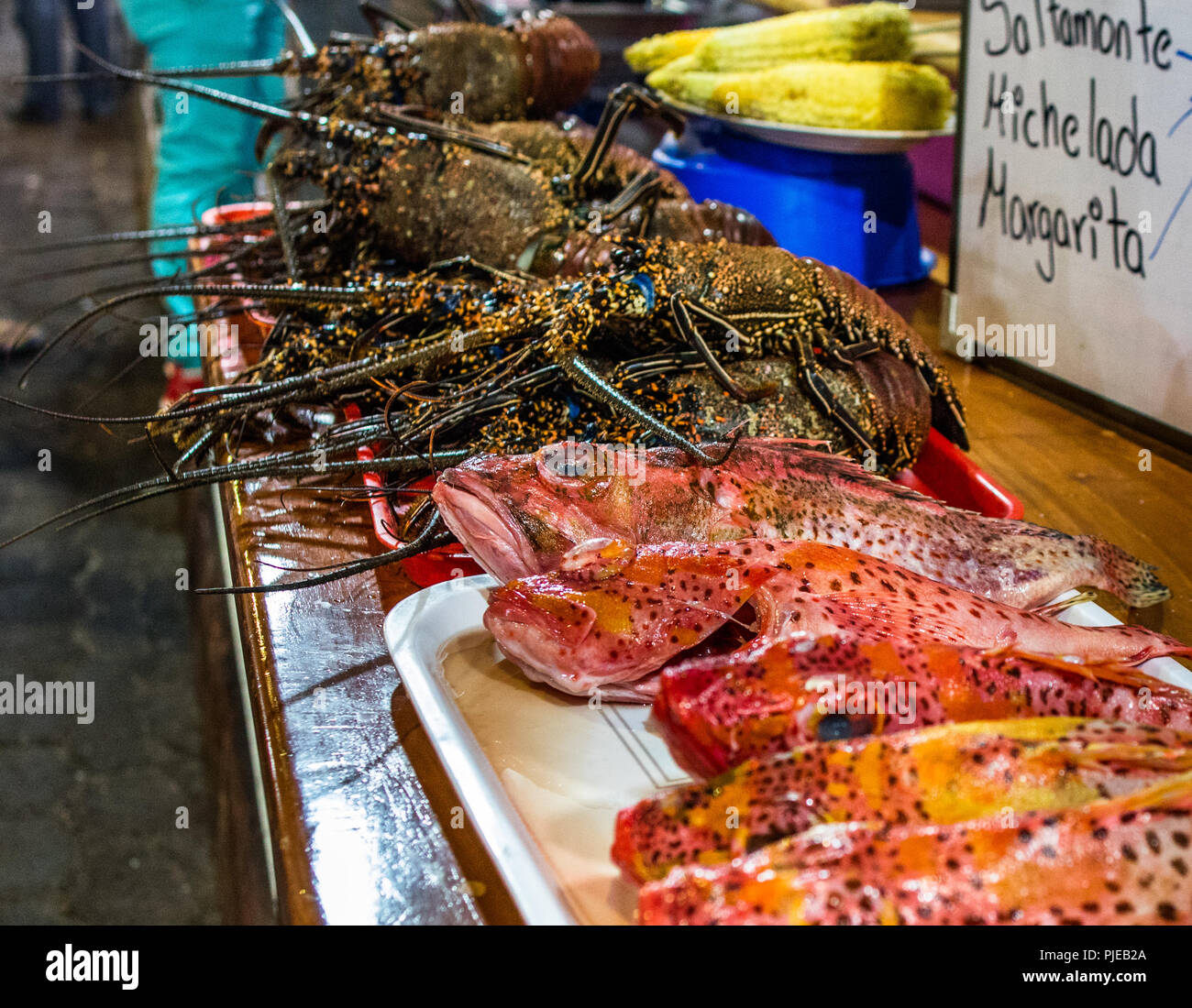 Array of fresh catch of the day options for street food dining at restaurant stalls in Los Kioskos section of Puerto Ayora, Isla Santa Cruz, Galapago Stock Photo