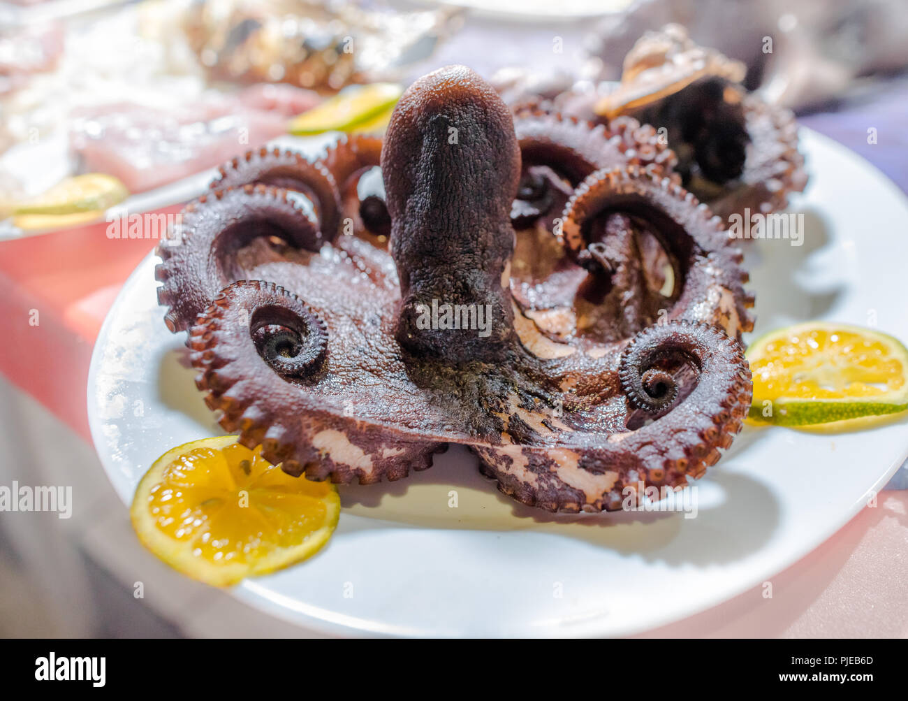 Fresh catch of the day Octopus displayed for patrons to order and dine at the street food alley 'Los Kioskos' in Puerto Ayora, Galapagos, Ecuador Stock Photo