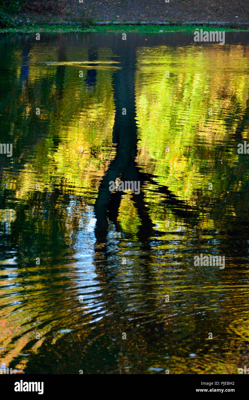 Rippled leaves hi-res stock photography and images - Alamy