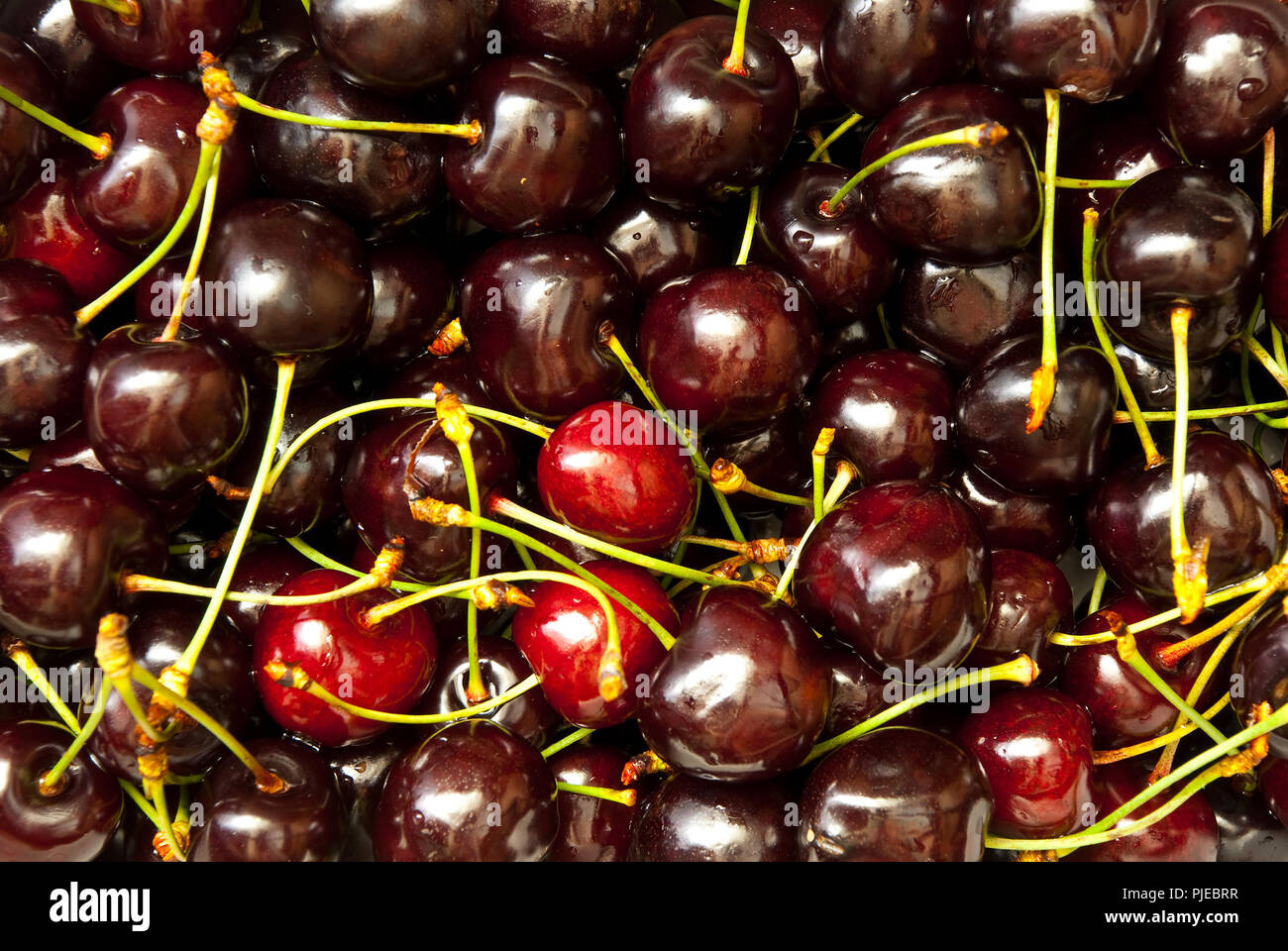 Maroon ripe cherries hi-res stock photography and images - Alamy