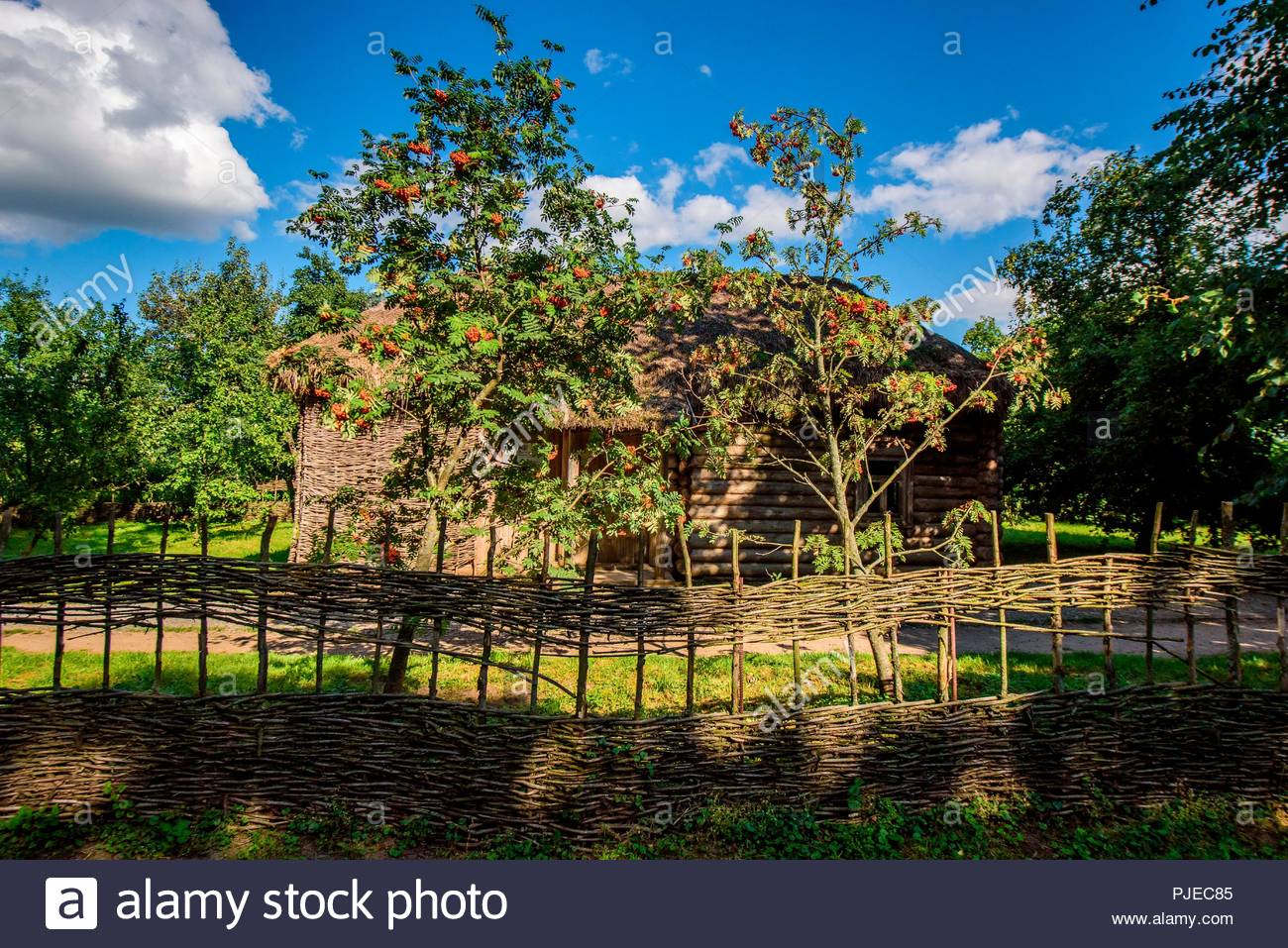 Village Konstantinovo, Ryazan region: excursions, house Yesenin 49 Village Konstantinovo, Ryazan region: excursions, house Yesenin 62