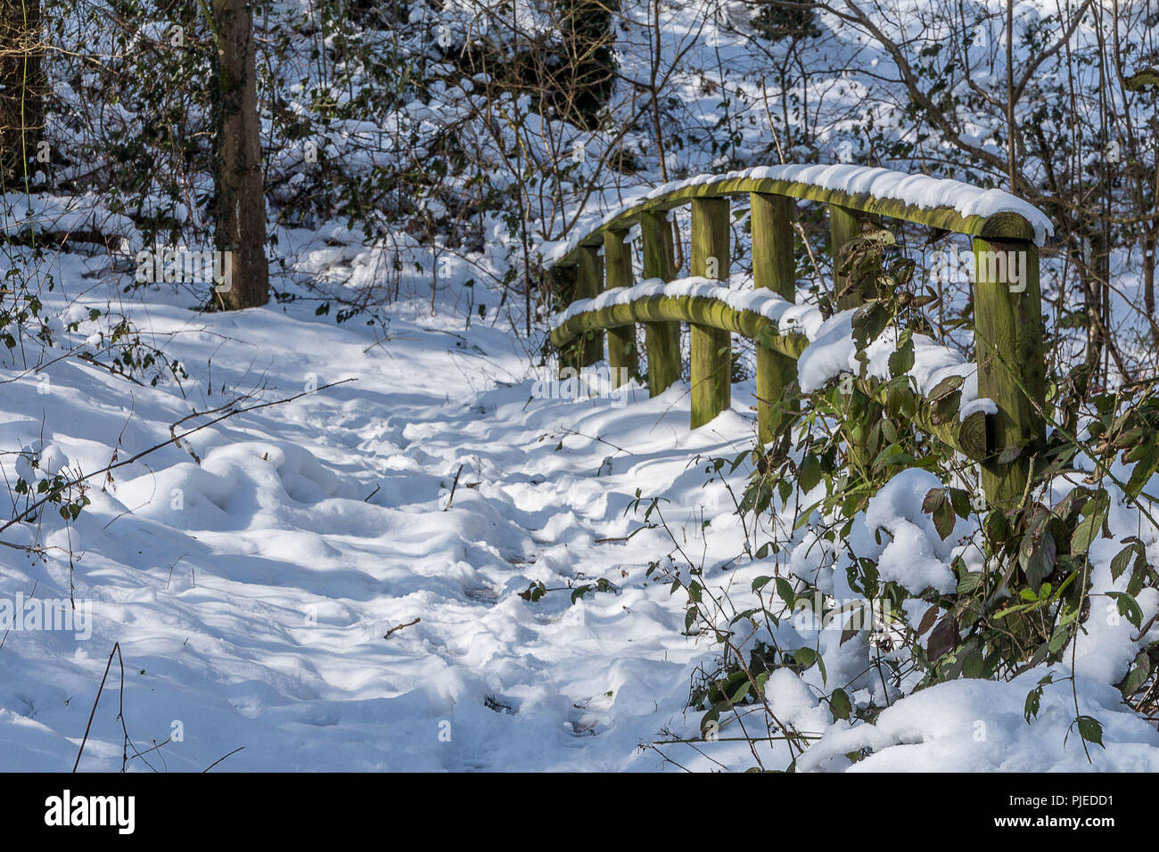 Woodbury Common Stock Photos & Woodbury Common Stock Images Alamy