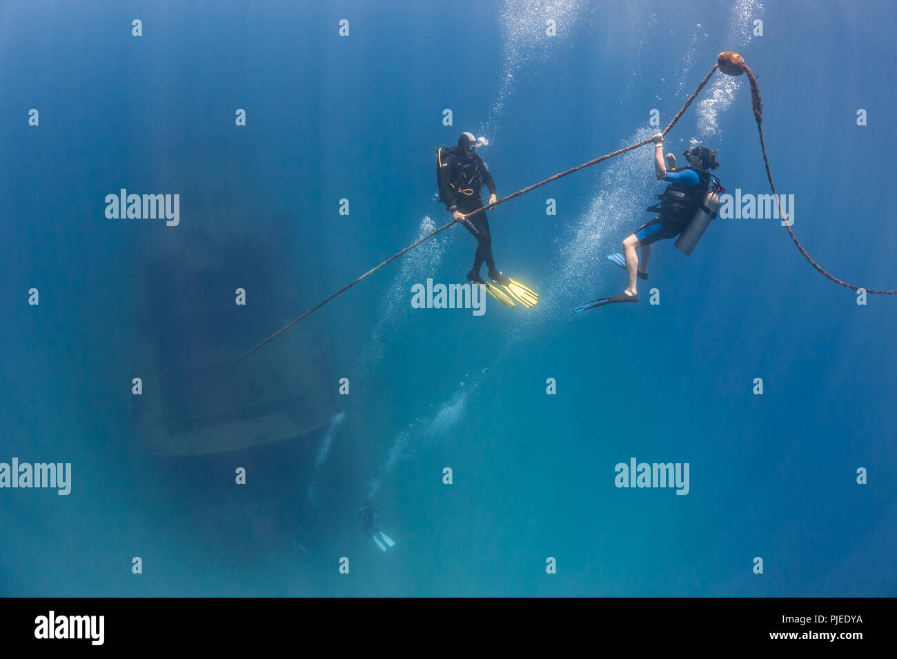 Scuba Divers descending onto the Fang Ming Wreck, La Paz, Sea of Cortez Stock Photo