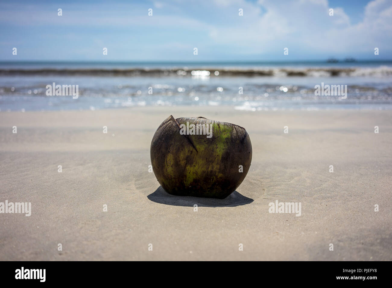 Holiday mood picture with sand, water, coconut and sky on jimbaran beach in bali indonesia Stock
