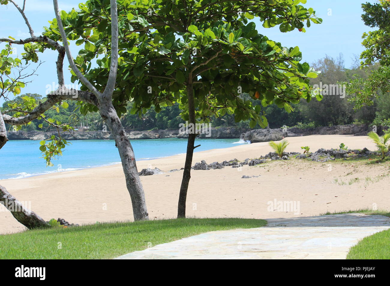 Beach with both rocks and sand fronted by a green lawn with trees and a walkway leading to the sand Stock Photo